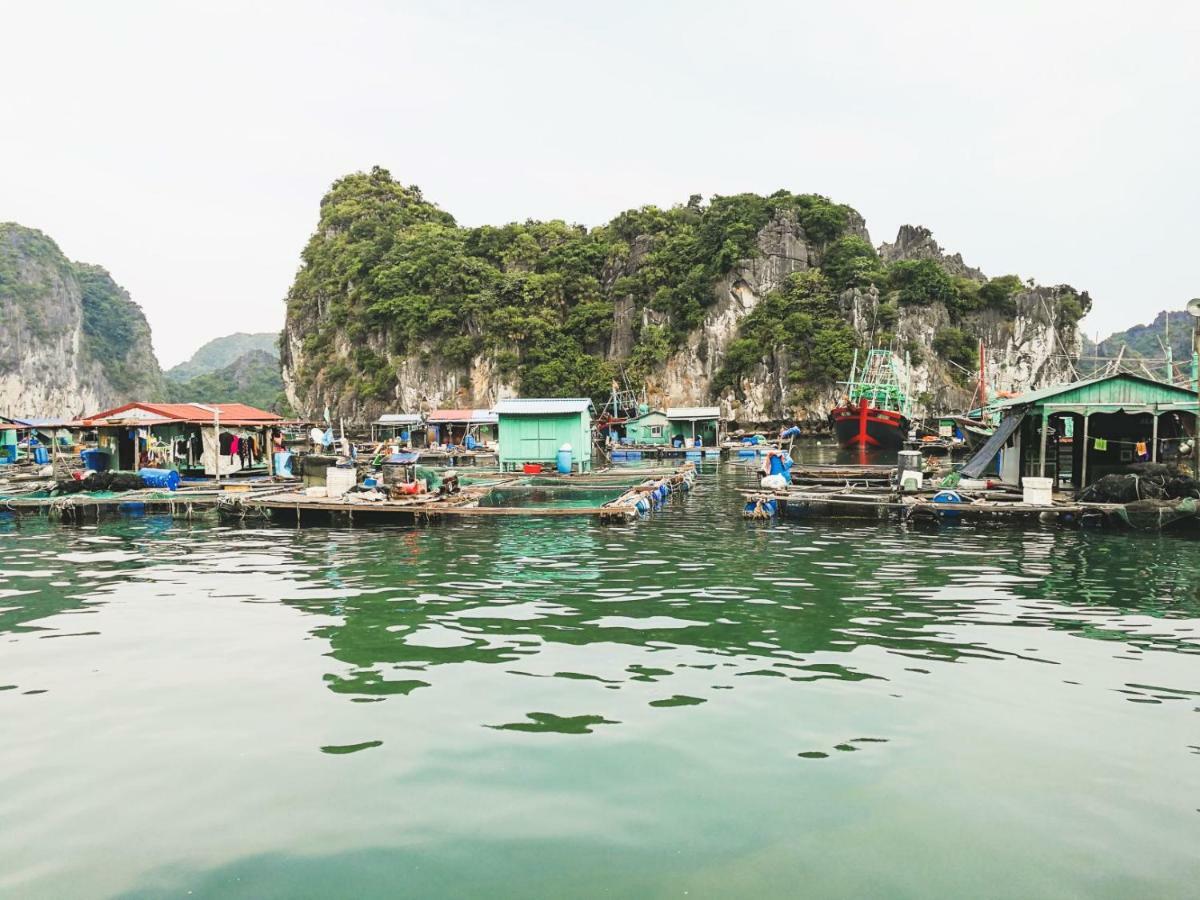 Heritage Line Ylang Cruise - Halong Bay & Lan Ha Bay Ha Long Exterior photo