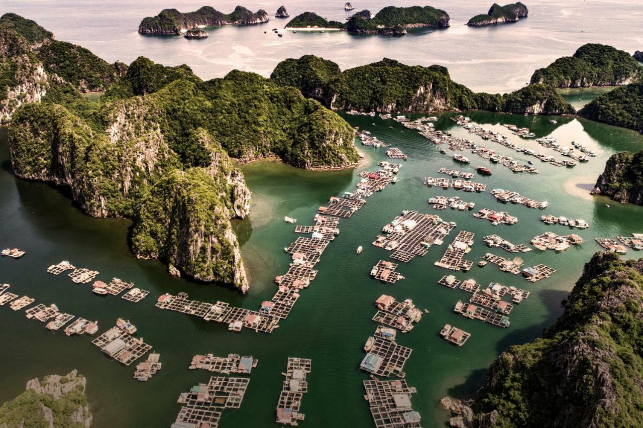 Heritage Line Ylang Cruise - Halong Bay & Lan Ha Bay Ha Long Exterior photo
